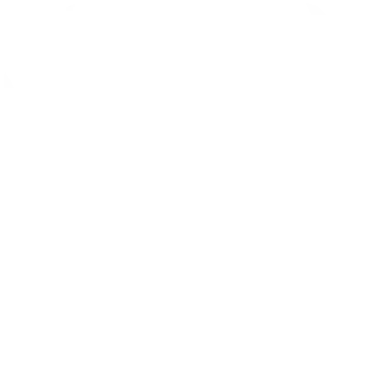 Golden Addy Awards from American Advertising Federation - Social Media Campaign 2017