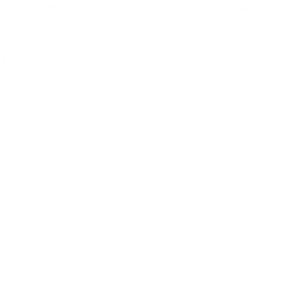 Inc. 5000 - Fasted Growing Private Companies in America